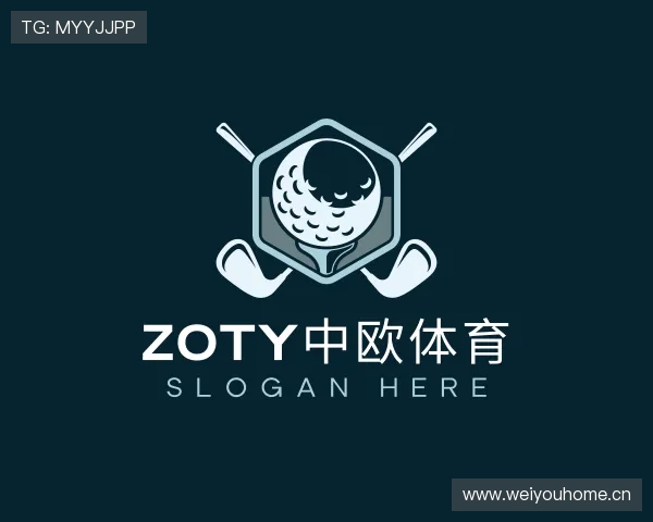 认识中欧体育登录入口